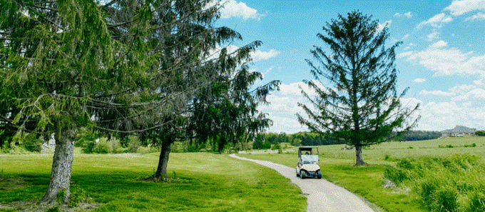 Golf cart on Honey Run Course